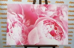 Obraz lupienky kvetu - 90x60