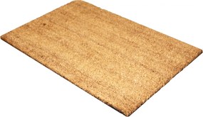 Home Elements Rohožka bez vzoru a textu Rozměry: 40 x 60 cm