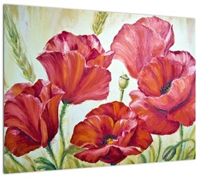 Obraz - Kvety vlčích makov (70x50 cm)