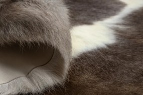 Koberec RENIFER POK019 hnedý