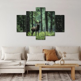 Obraz - Jeleň v hlbokom lese (150x105 cm)