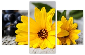 Obraz žltých kvetov (90x60 cm)