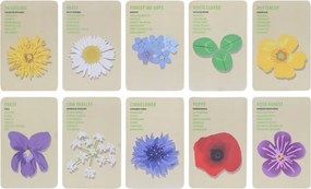 Vonkajšia hra Explorer Bag: Flowers – Esschert Design