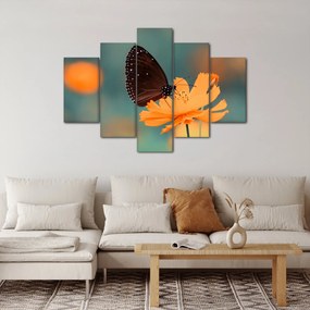 Obraz - motýľ na oranžovom kvete (150x105 cm)
