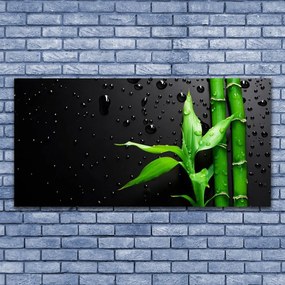 Obraz na akrylátovom skle Bambus listy rastlina 120x60 cm