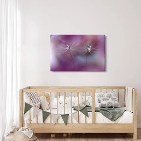 Obraz kvapôčok na páperí (90x60 cm)