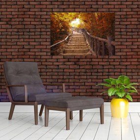 Obraz - Schody v prírode na jeseň (90x60 cm)