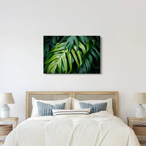 Obraz - Tropické listy (90x60 cm)