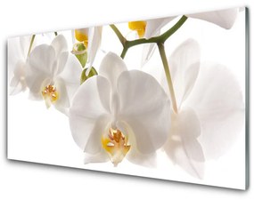 Obraz plexi Orchidea kvety príroda 140x70 cm