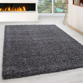 Tmavosivý koberec 200x290 cm Life – Ayyildiz Carpets