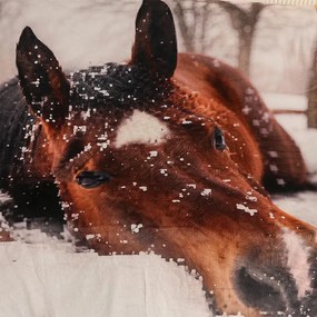 Baránková deka KÔŇ 150 x 200 cm