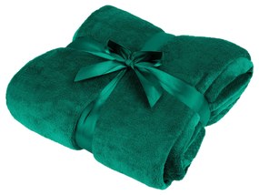 Teesa TSA8902 Deka Microplush 200x220 cm, zelená