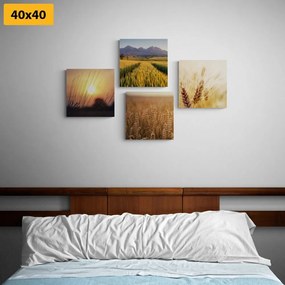 Set obrazov čaro prírody - 4x 60x60
