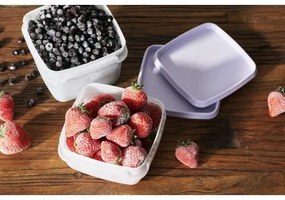 SmartStore Sada plastových dóz Freezer 5 ks, levanduľa, 500 ml, 500 ml