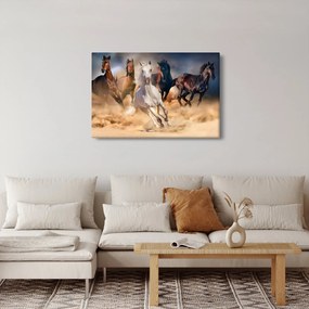 Obraz - Kone v púšti (90x60 cm)