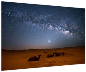Obraz - Noc v púšti (90x60 cm)