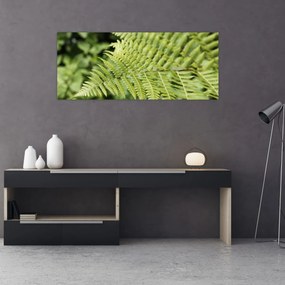 Obraz - Papradinový list (120x50 cm)