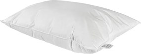 Perový vankúš 50x70 EMI