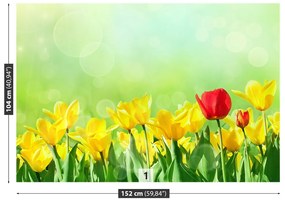 Fototapeta Vliesová Žlté tulipány 152x104 cm