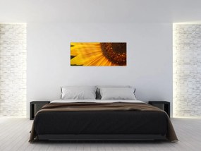 Obraz - Slnečnica (120x50 cm)