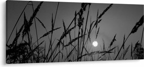 Obraz - Lúka so západom slnka (120x50 cm)