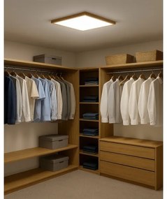 LED stropné svietidlo LED/40W/230V 3000/4000/6500K 50x50 cm béžové