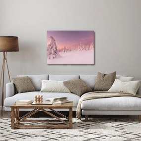 Obraz - Stromy pod snehovou prikrývkou (70x50 cm)