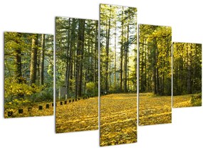 Obraz - les v jeseni (150x105 cm)