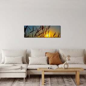 Obraz - Západ slnka v lúke (s hodinami) (90x30 cm)