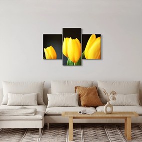 Obraz tulipánov (90x60 cm)