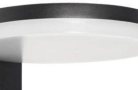 Moderné vonkajšie nástenné svietidlo čierne vrátane LED IP54 - Esmee