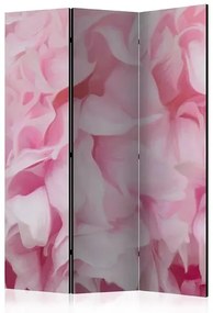 Paraván - azalea (pink) [Room Dividers] Veľkosť: 135x172, Verzia: Jednostranný