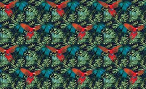 Fototapeta - Papagáj (254x184 cm)