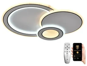 NEDES LED Stmievateľné stropné svietidlo LED/40W/230V 3000-6500K + diaľkové ovládanie ND3492