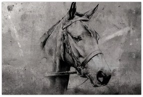 Obraz - Portrét koňa (90x60 cm)