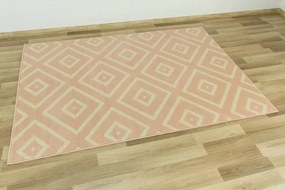 Koberec LUNA 503572/85822 ružový