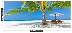 Fototapeta Vliesová Tropická pláž 152x104 cm