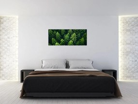 Obraz - Les (120x50 cm)