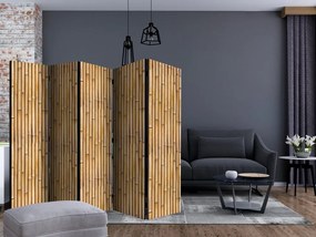Artgeist Paraván - Amazonian Wall II [Room Dividers]