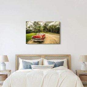 Obraz - auto veterán v prírode (90x60 cm)