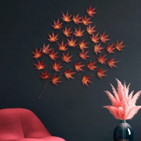 Acer Palmatum