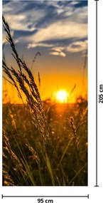 Fototapeta na dvere - Pole pri západe slnka (95x205cm)