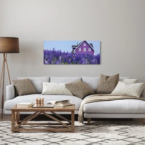 Obraz levanduľového poľa (120x50 cm)