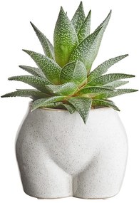 BOTTY Kvetináč 10 cm - béžová