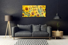 Skleneny obraz Slnečnica rastlina príroda 100x50 cm