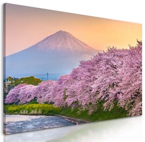 Obraz romantický pohľad na sopku Fuji