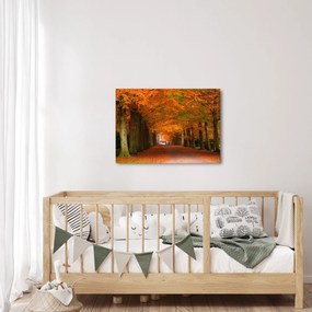 Obraz - Jeseň Alej stromov (70x50 cm)