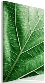 Artgeist Obraz - Malachite Leaf (1 Part) Vertical Veľkosť: 20x30, Verzia: Premium Print