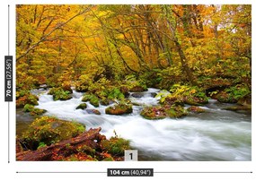 Fototapeta Vliesová Rieka v japonsku 104x70 cm