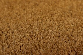 Trade Concept, Rohožka Kokos Svieži vietor - na von aj na doma, 40x60, hnedá, chodba / predsieň